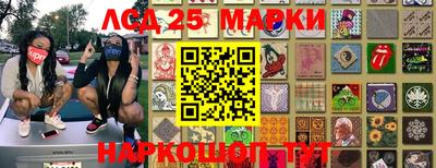гидра Камень-на-Оби
