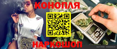 гидра Камень-на-Оби