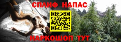 гидра Камень-на-Оби