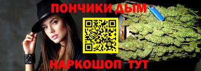 гидра Камень-на-Оби