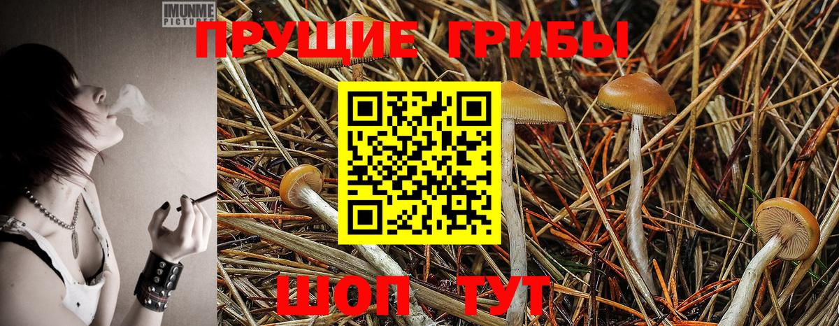 Галлюциногенные грибы ЛСД Тула